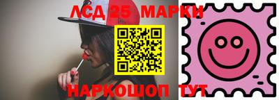 шишки Новодвинск