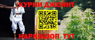 шишки Новодвинск