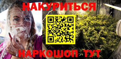 шишки Новодвинск