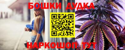 шишки Новодвинск