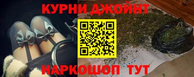 шишки Новодвинск