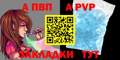 шишки Новодвинск