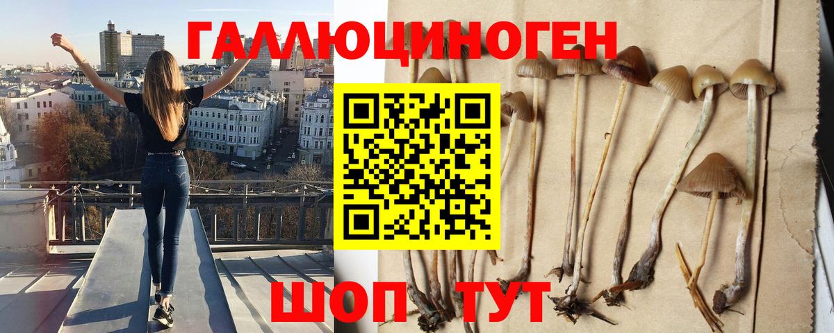 Тавда  Галлюциногенные грибы MAGIC MUSHROOMS  Вход с VPN 